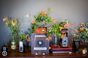 FOURTH FRIDAYS MAY - FEATURING RYAN BROWN